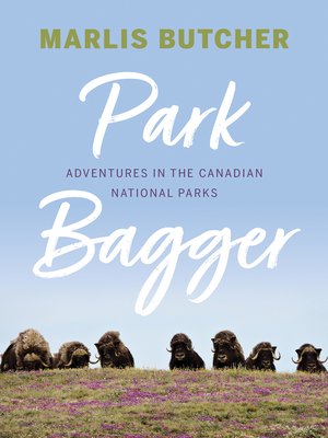 cover image of Park Bagger